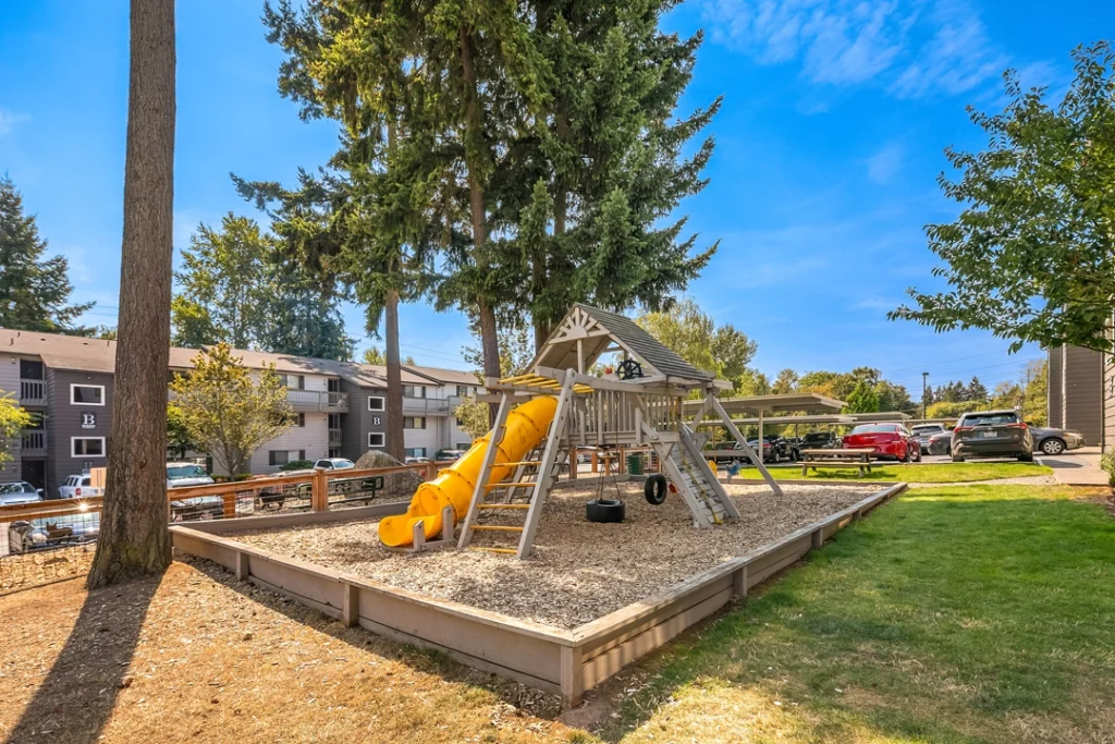 Playground with slides, climbing, and tire swing