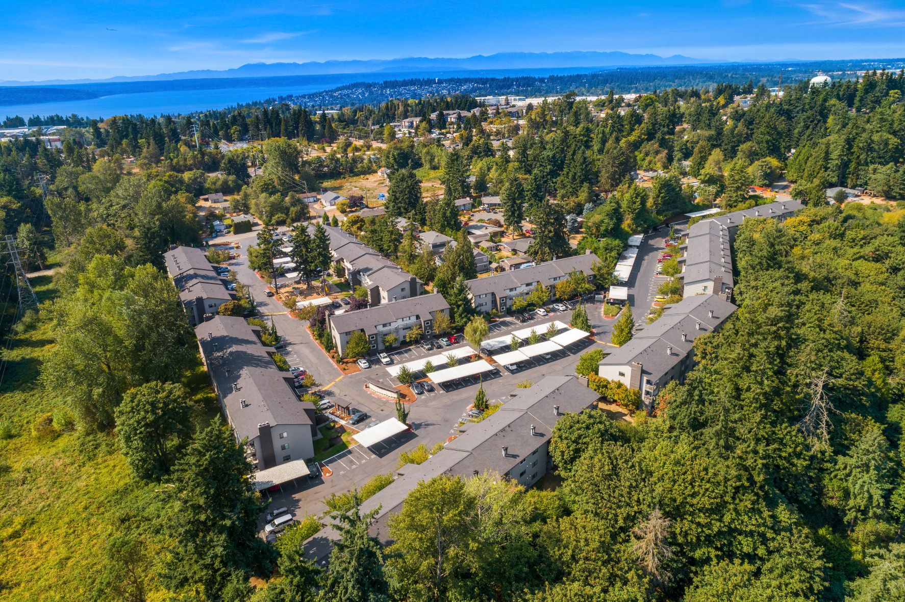 Aerial view of the property showing lots of trees, with water and mountains in the distance.